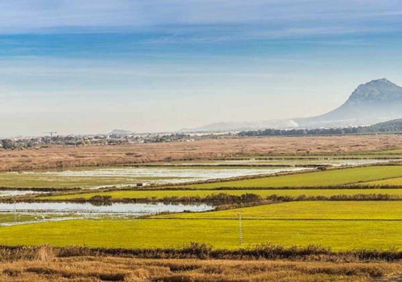 Oliva Holidays 2 Εξωτερικό φωτογραφία